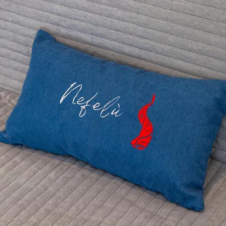 Maison d'hôtes Nefelu